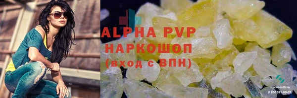 гашик Зерноград