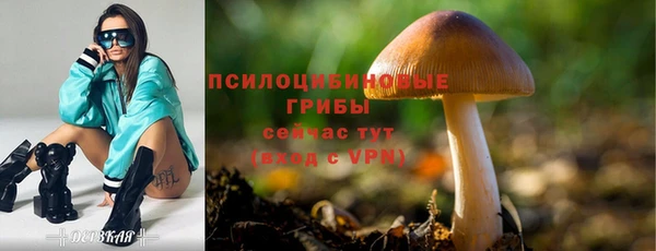 кокаин колумбия Иннополис