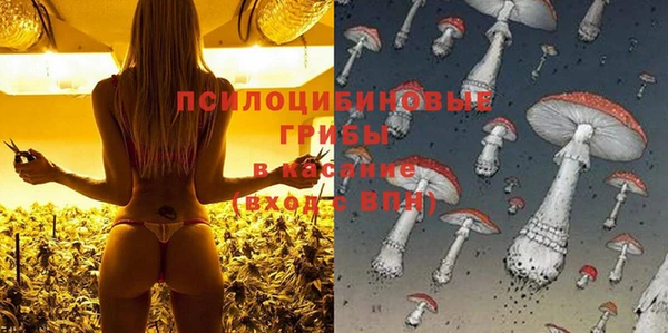 гашиш Инта