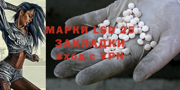 гашик Зерноград