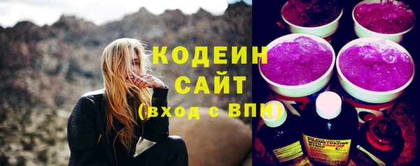первитин Инсар