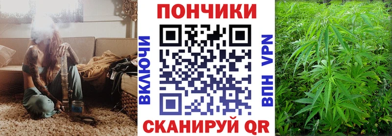Купить закладки  Кологрив  Шишки марихуана конопля 